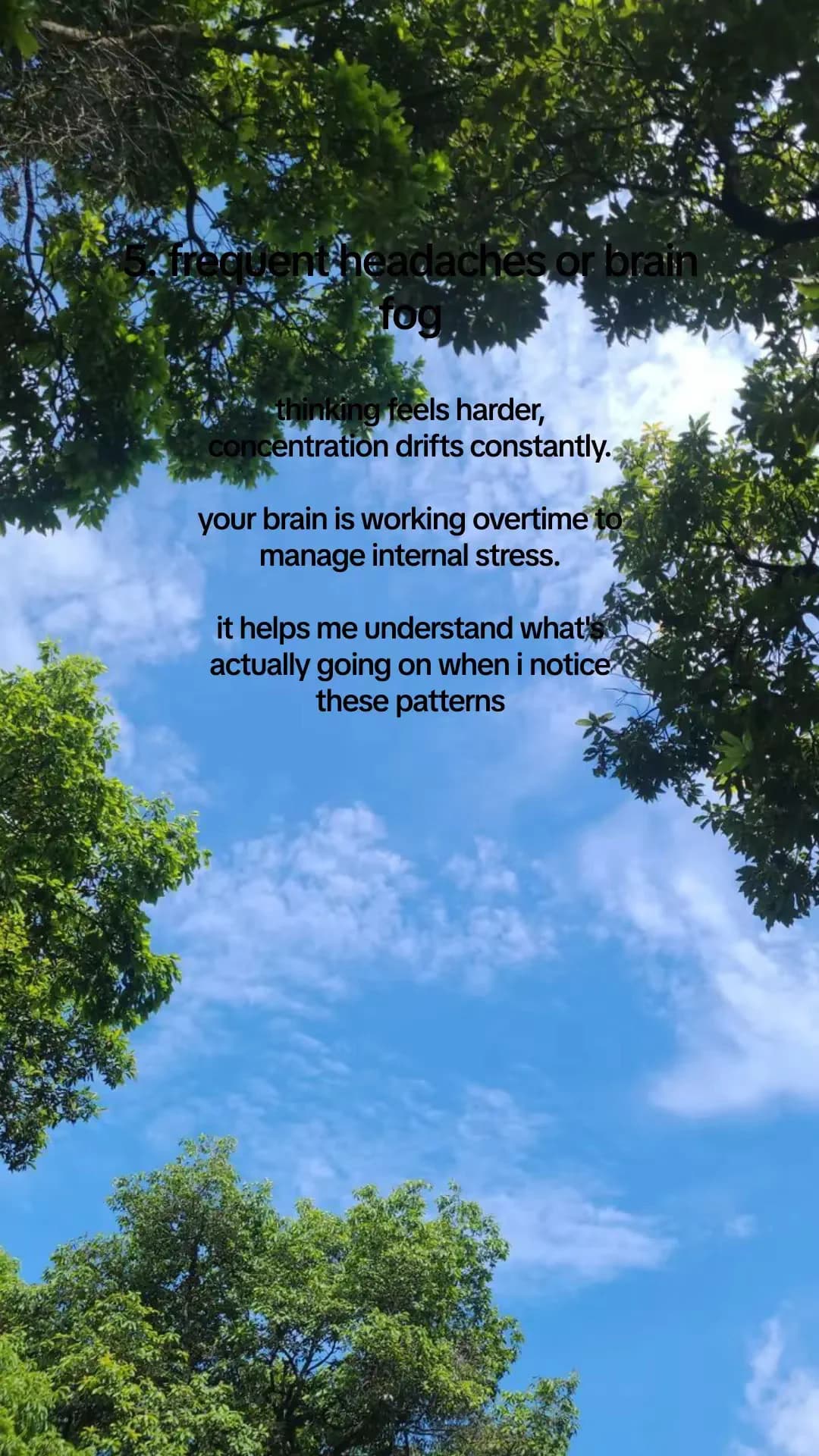 Slide 6